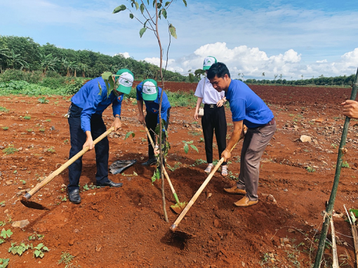 UBND xã Krông Năng  phát động phong trào “Tết trồng cây đời đời nhớ ơn Bác Hồ” nhân dịp Xuân Bính Ngọ